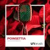 image:imageUNbrush Mini Holiday Hair Brush for PainFree Brushing On All WetDry Hair TypesPoinsetta Red