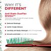 image:imageUNbrush Mini Holiday Hair Brush for PainFree Brushing On All WetDry Hair TypesPoinsetta Red